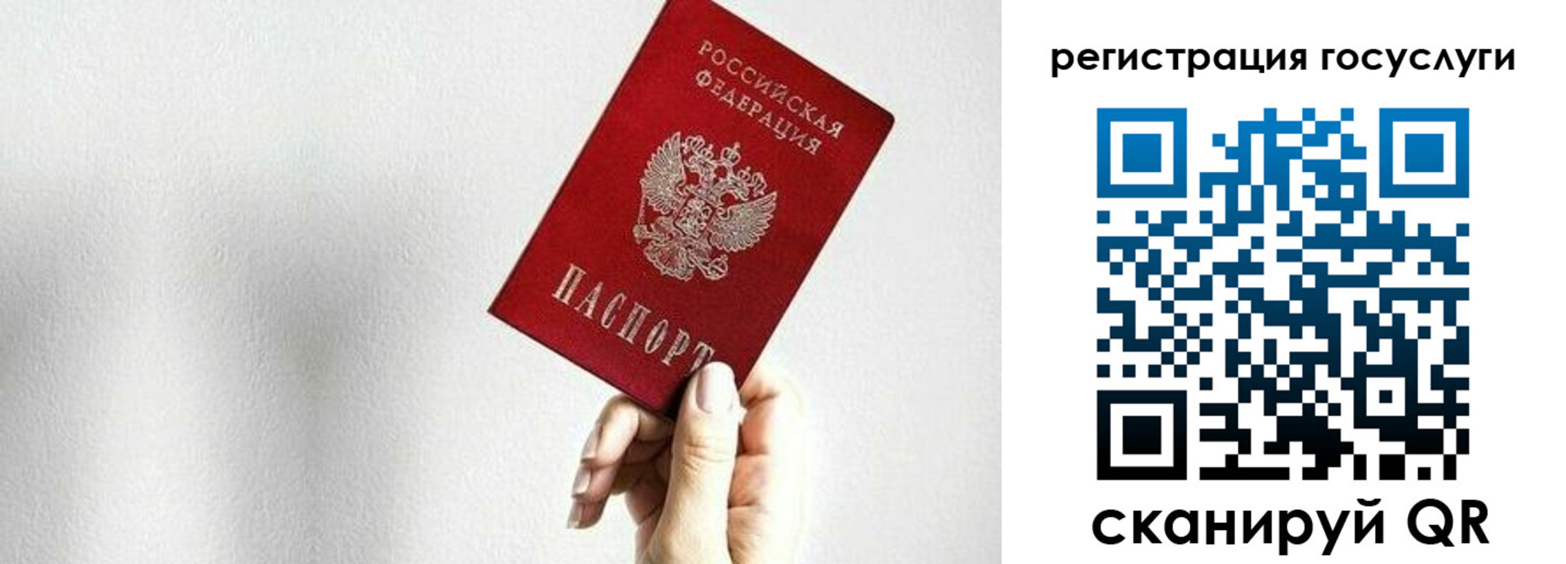 прописка гарантия в Заозёрске